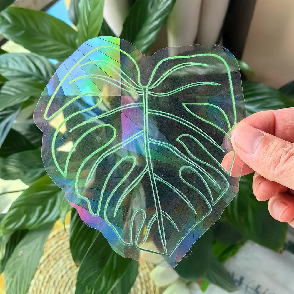 Rainbow Suncatcher Window Sticker